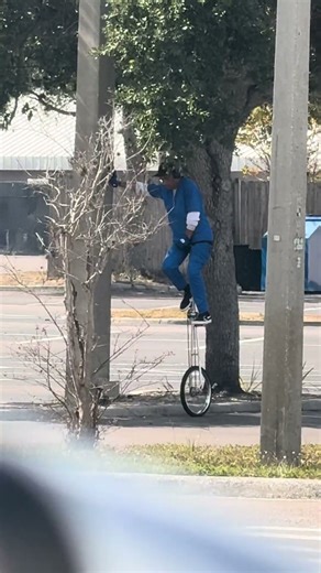 Meanwhile, in Florida. #floridaman #florida #tampabay #tampa￼