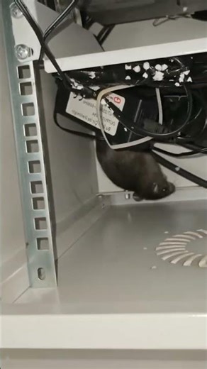 how to install CCTV camera at home