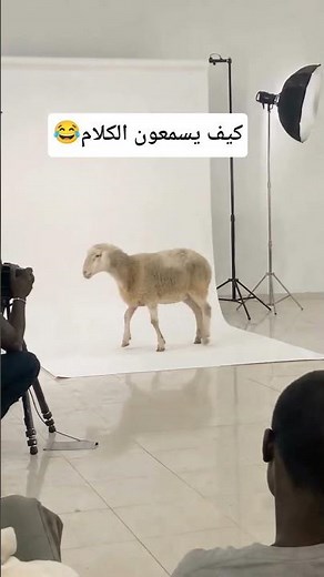 ستوريـات بنات كيـوت، ستوريـات بنـات انستـا كيـوت بـدون كتابـه فيديوهـات كيـوت بـدون حقـوق 💜.