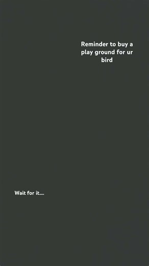 #birds #parakeet #petcare