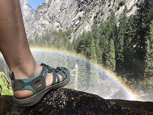 Anatomy 101: The windlass mechanism & great toe extension — Rayner & Smale