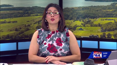 Welch resolution would limit Supreme Court terms