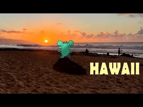 【 HAWAII TRIP 】ちょっとそこまで、ハワイに行ってきたナ～🛫🌎 #おでかけエアちゃん