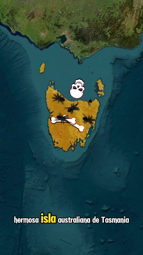 Descubre los Encantos de Tasmania y su Naturaleza Salvaje
