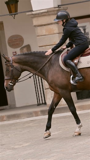 Winderen Equestrian on Instagram: "During riding – and especially during landing after a jump – both the horse and the rider are exposed to multi-axis forces and repeated impact. These forces are transferred through the saddle directly onto the horse’s back and the rider’s spine. Many riders associate protection with softness. In reality, softness alone only leads to compression – and uncontrolled compression can increase instability and uneven pressure. Effective impact protection depends on ho