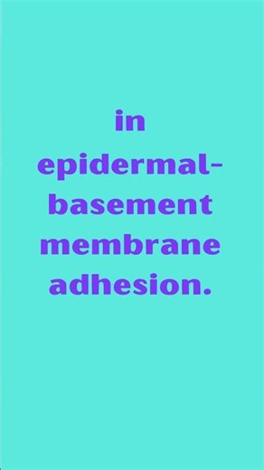 FREM2 FRAS1 Related Extracellular Matrix Protein 2