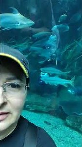 Poema del Mar Aquarium, Insula Las Palmas, Spania