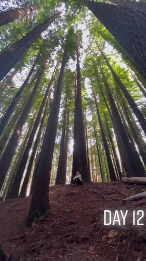 haleigh hikes on TikTok