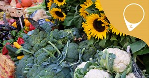 Farmers Markets Twin Cities