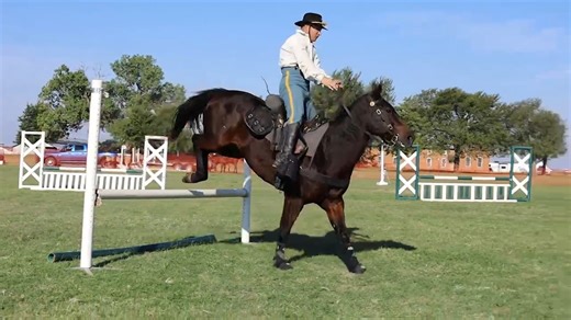 1.5K views · 109 reactions | Let's congratulate the Troopers from the...