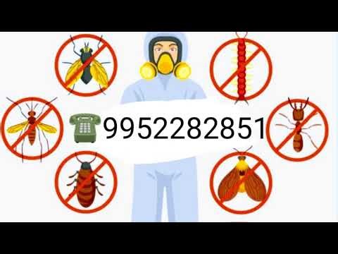 Vicky pest control services