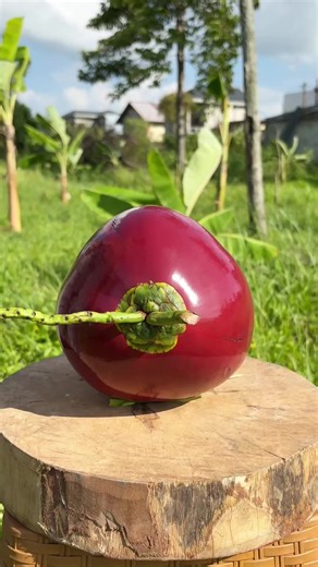 The Right Way to Peel Fruits and Vegetables