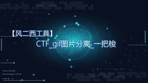 【风二西工具】CTF_gif图片分离_一把梭