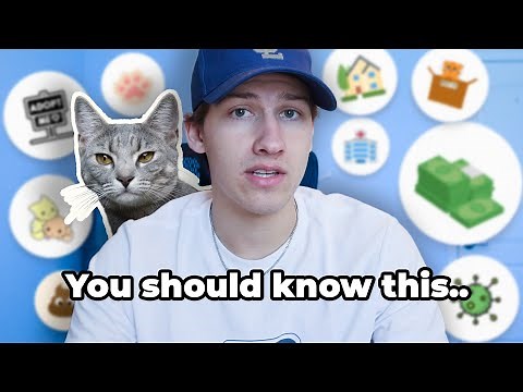 10 Questions To Ask Yourself Before Adopting A Cat