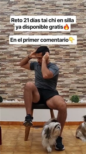tai chi en silla quema grasa 🪑adultos mayores o principiantes RETO 21 DIAS