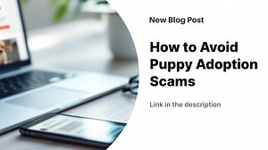 Puppy adoption scams drain over $3 million from American families annually through fake listings and emotional manipulation tactics. Scammers use predictable patterns including unrealistic prices, text-only communication, refusal of facility visits, and demands for untraceable payments like wire transfers or gift cards. Legitimate breeders welcome phone calls, provide facility tours, offer health documentation, and accept secure payment methods with buyer protections. Trust your instincts and wa