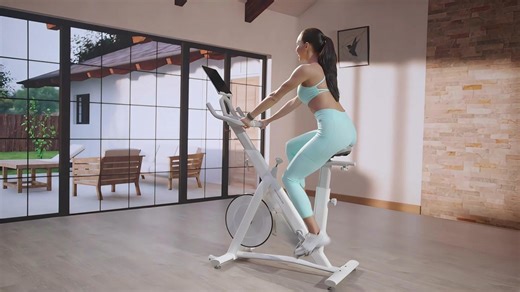 Wondercise Exercise Bike for Home Workouts