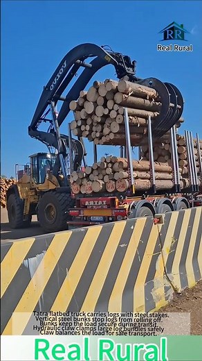 This Giant Machine Loads Massive Logs in SECONDS! 😱