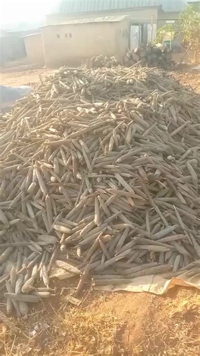 Peter malle (@petermalle)’s videos with original sound - Apostle Orokpo Michael - Apostle Michael Orokpo