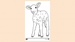 Baby Lamb Colouring Sheet