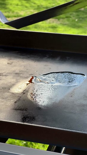 Weber Grills on TikTok