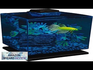 GloFish Betta Aquarium Kit 1.5 Gallons Easy Setup and Maintenance Perfect Starter Review