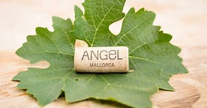Bodegas Angel - Wines of Mallorca, Bodegas Angel