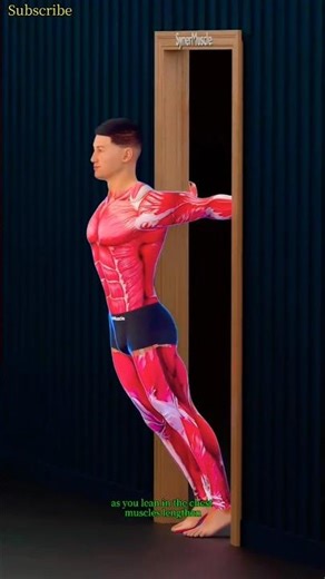 Doorway Chest Stretch Benefits | Improve Shoulder Mobility & Posture