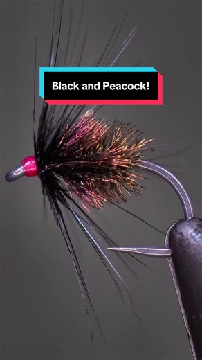 Black and Peacock Spider Fly Tying Tutorial