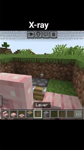 Minecraft x-ray no mod #minecraft #gaming