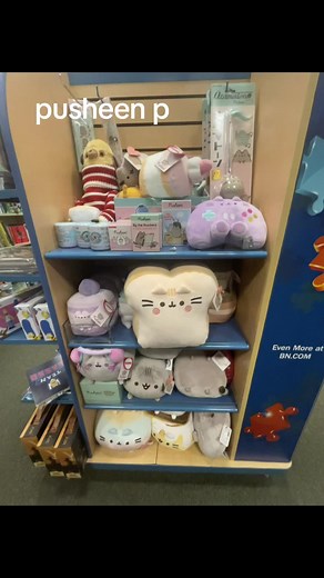 Exploring the Barnes and Noble Pusheen Section