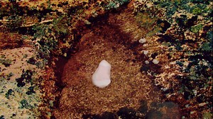 Along these ancient shores, you’ll find cultures that are as vibrant as their surroundings. Join us in celebrating National Indigenous History Month in June. | Newfoundland & Labrador Tourism