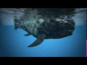 Ark Survival Evolved - Bioluminescent Dunkleosteus Skin