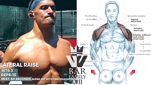 简单器械健身训练大全