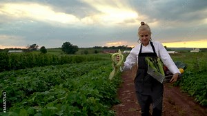 Wide angle view of stylish, smiling, female chef carrying a crate of vegetables on her hip and smelling fresh picked corn.