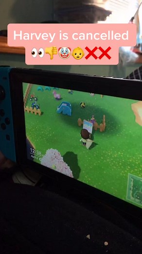 #acnh #animalcrossing #foryou #fyp