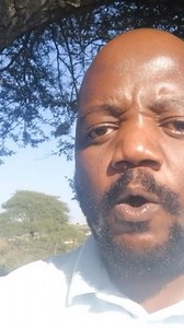 Gogo Bathini Mbatha explains the importance of inyongo (the secretion produced from a cow’s gallbladder), in the practice of iLobola/bride price. Inyongo is used to bind the ancestors of two people who are getting married. According to certain cultures, the Lobola/bride price process is not complete without it. Did you use Inyongo during your Lobola? #lobola #brideprice #culture #tradition #africanspirituality #lobolaabridestrueprice | Lobola Documentary Film