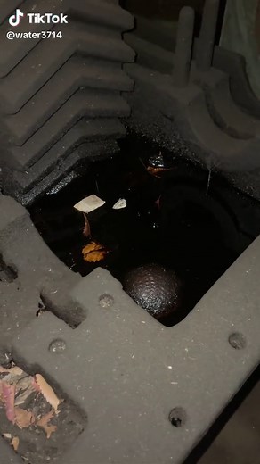 Exploring the Mystique of Still Water: Risks and Beauty