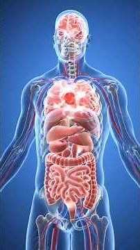 What is Stroke?#3danimation #stroke