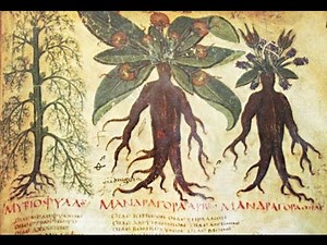 Documental •Drogas Ancestrales• Español/Latino