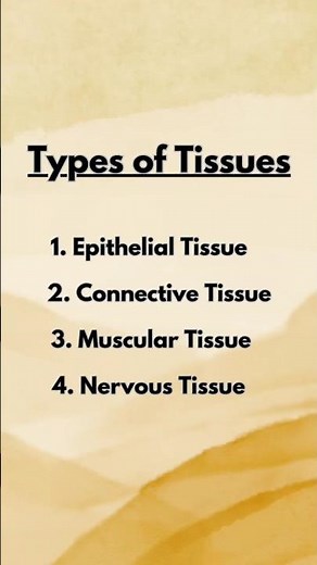 Types of Tissues in Human Body | Short & Easy Explanation 🩺 | Biology & Anatomy for Medical Students
