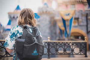 5 Steps to Becoming a Disney Travel Planner