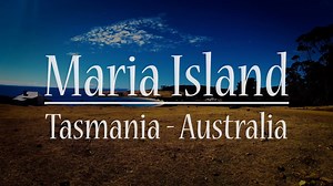 A complete travel guide to visiting Maria Island in Tasmania | 2022