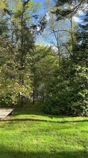 Come stay at serenity cabin this summer! #vacationwithaview #summervibes #makingmemories