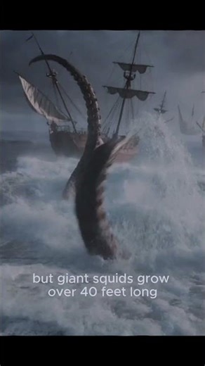 “Was the Kraken an Unseen Species?”