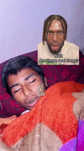 Wait are those real frogs? #fyppppppppppppppppppppppp #daveofideas #humor #foryoupage #Trending