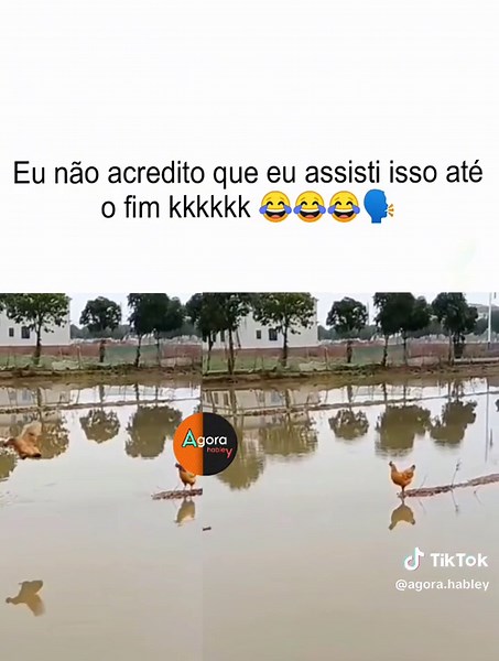 Galinha em Ação: Humor e Meme Divertido