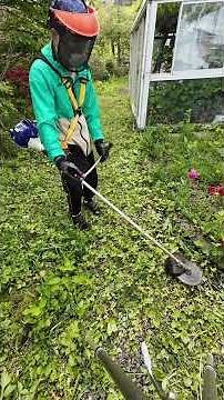 10日ぶりに田舎の家の草刈り#雑草#庭作業