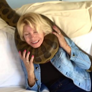 10K views · 239 reactions | Crazy Woman with Giant Anaconda...! Our group: Animal World | The Best Memes Today | Facebook