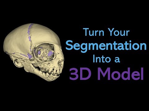 HOW TO: Turn Your Segmentation to 3D Model [3D Slicer Workflow]